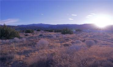 9620 Mescalero Road, Phelan, California 92371, ,Land,Buy,9620 Mescalero Road,CV25011923