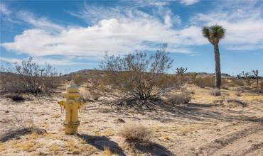 4 Burke Road, Landers, California 92285, ,Land,Buy,4 Burke Road,JT25007759