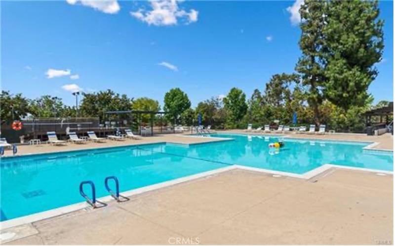 Sparkling Swimming Pool