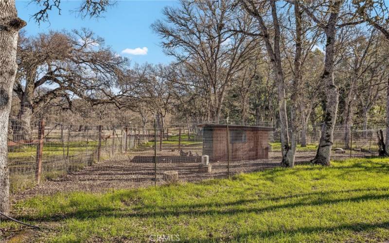 Chicken coop