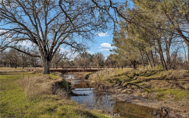 Creek and bridge