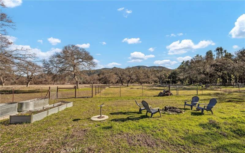 Side Yard w/fire pit