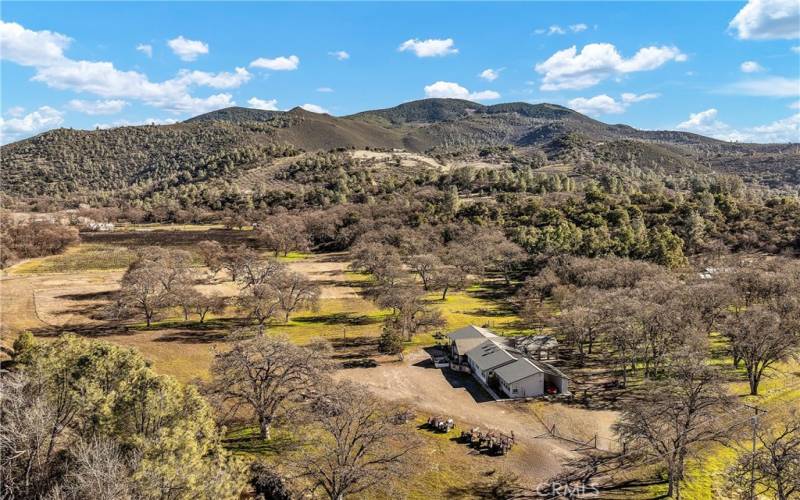 Overview house and 20 acres