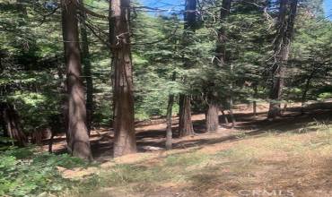 0 State Hwy 189, Lake Arrowhead, California 92352, ,Land,Buy,0 State Hwy 189,EV21124040