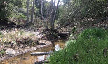 Seasonal creek on property