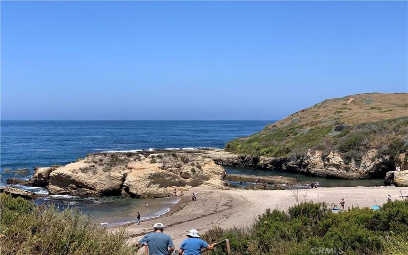 Beach at Montana De Oro