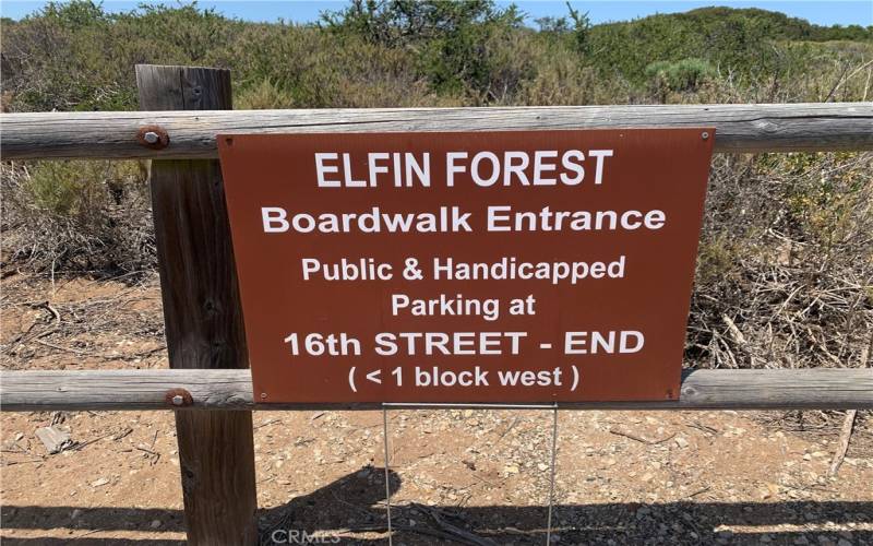 Elfin Forest