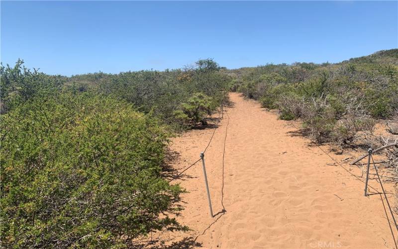 Elfin Forest Path. Boardwalk available as well.