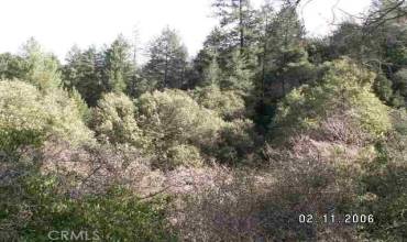 0 bloomer hill, Berry Creek, California 95916, ,Land,Buy,0 bloomer hill,PA21110538