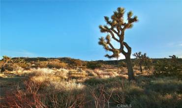 0 Mt View, Yucca Valley, California 92284, ,Land,Buy,0 Mt View,JT20027189