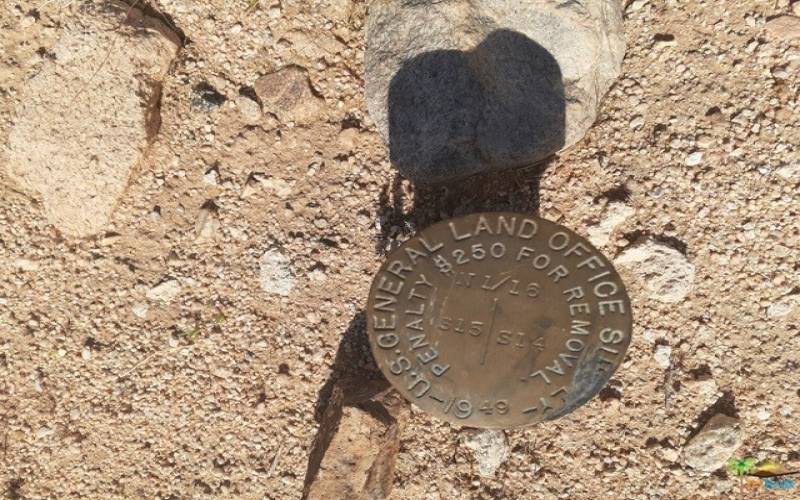 U.S. survey marker