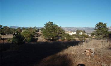 2540 Malvern Street, Cambria, California 93428, ,Land,Buy,2540 Malvern Street,SC20002808