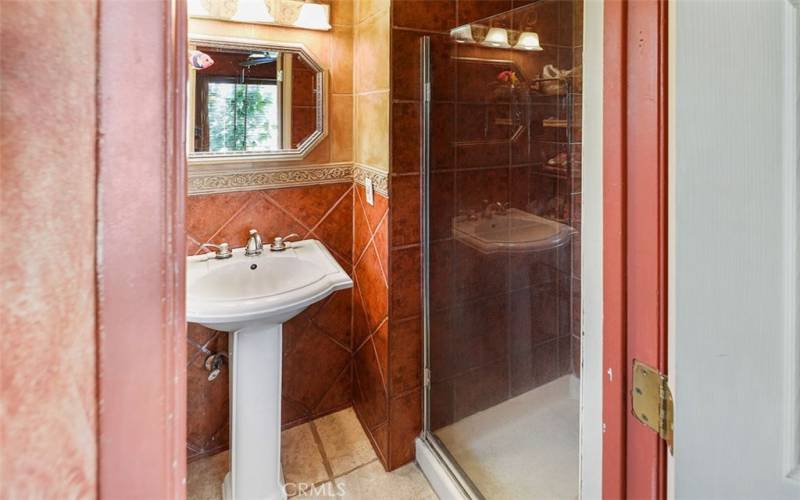 Up-graded master bath with walk in sower with a newer shower door and sink pedestal.