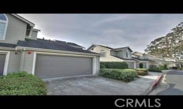 244 Greenview Drive, Daly City, California 94014, 2 Bedrooms Bedrooms, ,3 BathroomsBathrooms,Residential,Buy,244 Greenview Drive,ML81445907