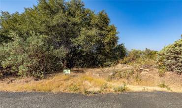 0 Vista Lago Ln. Lot #15, Mariposa, California 95338, ,Land,Buy,0 Vista Lago Ln. Lot #15,MP20185809